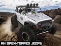 Радиоуправляемый краулер Remo Hobby Open-Topped Jeeps 1/10 (RH1073-SJ) - фото 7205